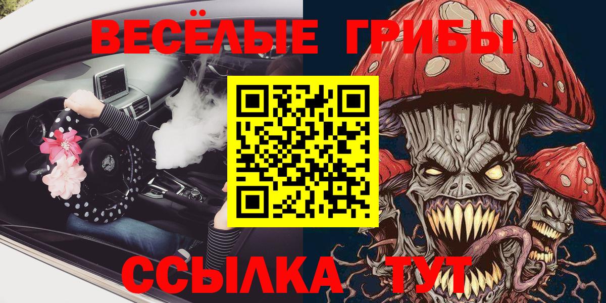 Бор  Псилоцибиновые грибы Cubensis  Вход с VPN 