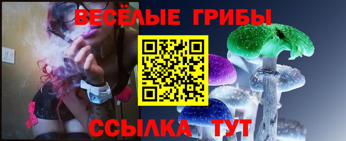 Псилоцибиновые грибы прущие грибы Бор
